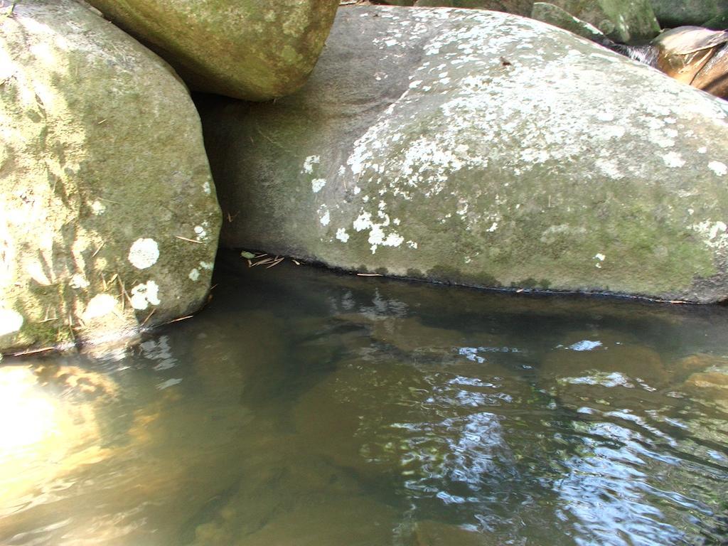Ytororo O Som Das Aguas 파라티 외부 사진